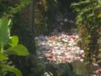 Sungai di Bandarlampung Jadi 'Daratan' Sampah