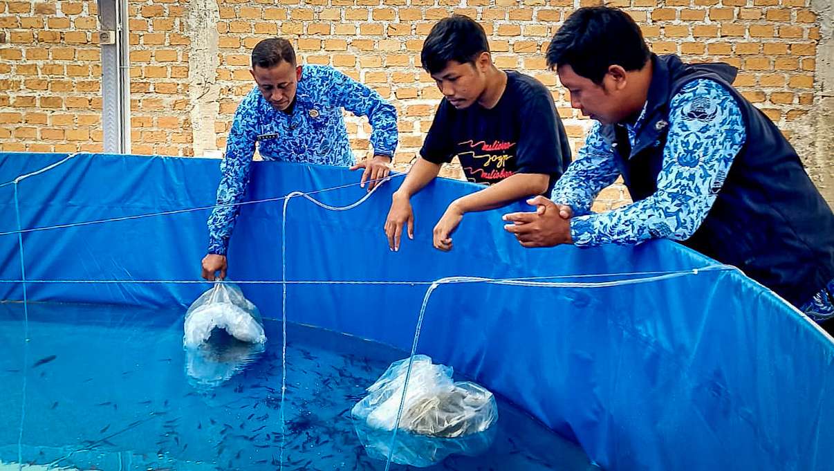 Ponpes Mahasiswa Al-Awwabin Terima Bantuan Budidaya Lele Bioflok