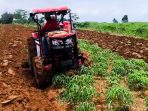 Pemprov Lampung Rusak Lahan Garapan Petani Kota Baru