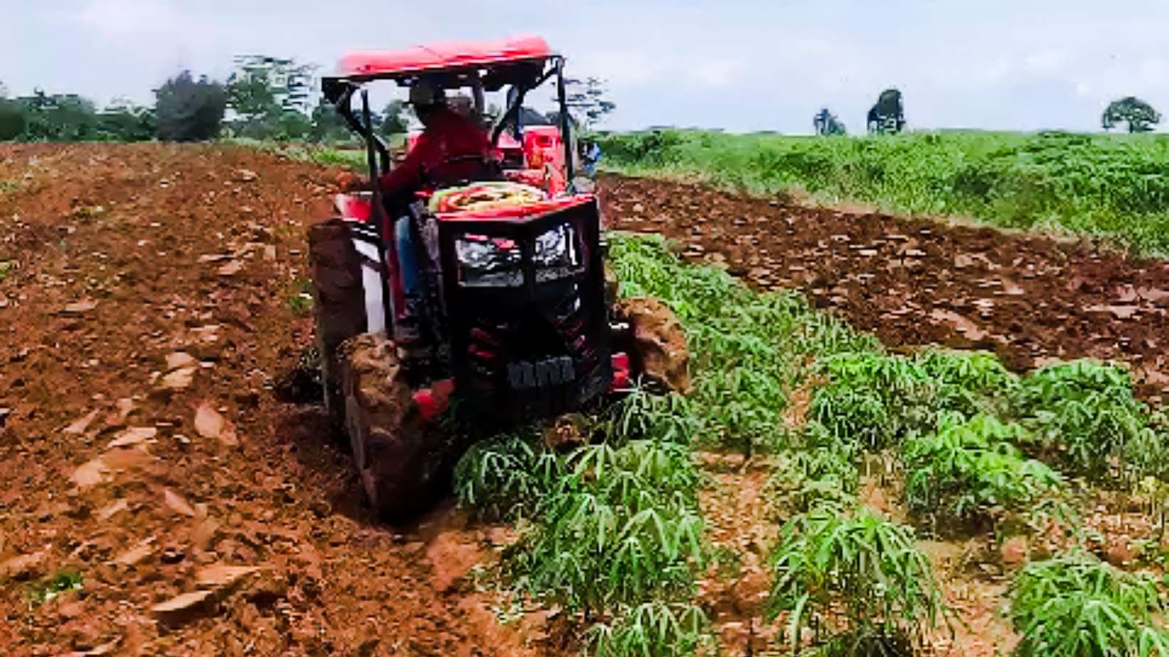 Pemprov Lampung Rusak Lahan Garapan Petani Kota Baru