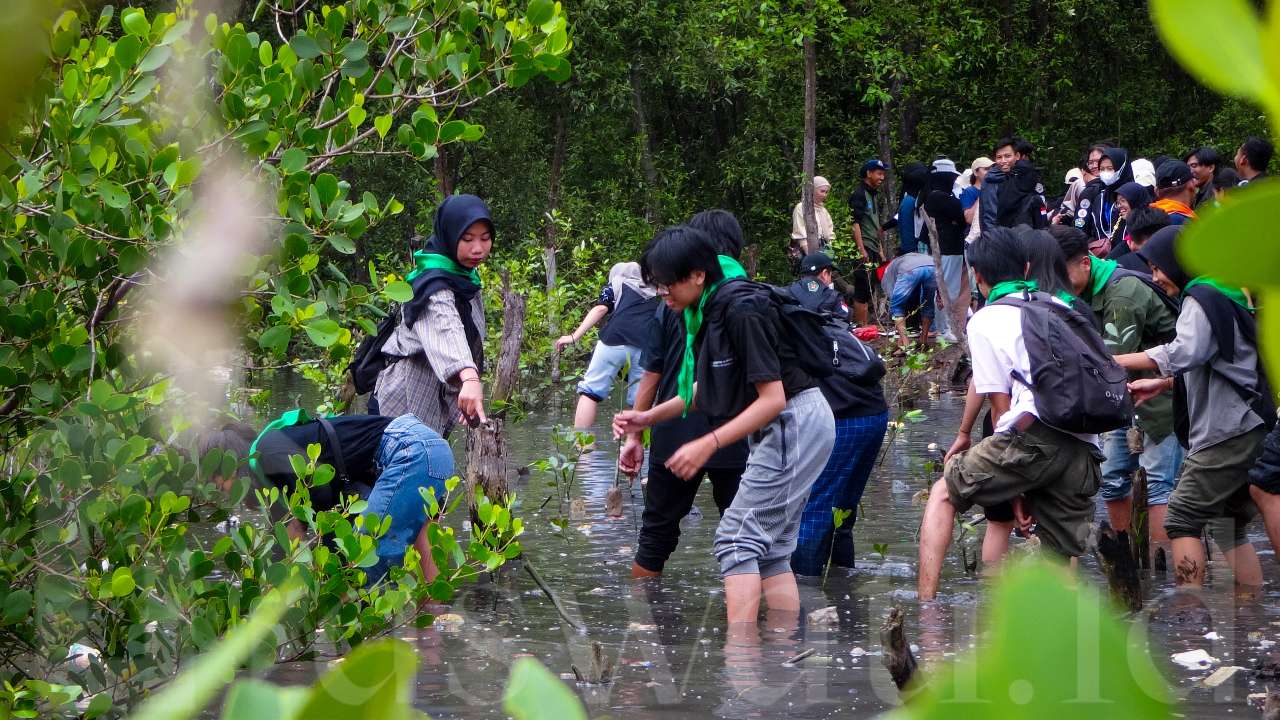 Menanam Seribu Bakau di Bulan Suci Ramadan