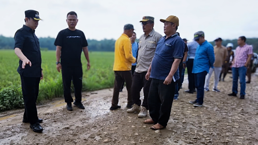 Marindo Kurniawan Pastikan Jalan Rusak Segera Diperbaiki