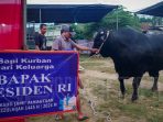 Sapi Kurban Jokowi Tiba di Masjid Al Kautsar Permata Biru, Takmir: Ini mukjizat!