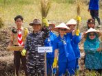 TNI AL Panen Raya di Lampung, Hasilnya Melimpah!