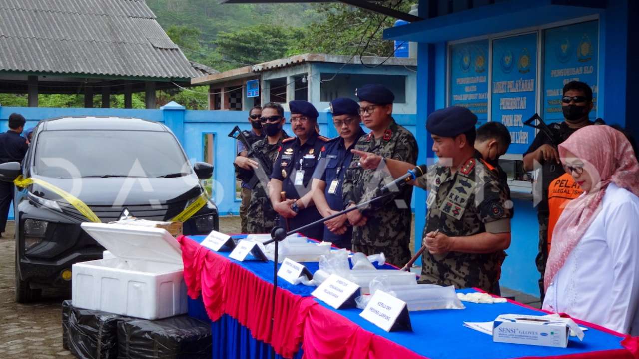 Lampung ‘Jalur Kiri’ Ekspor Benih Bening Lobster ke Vietnam