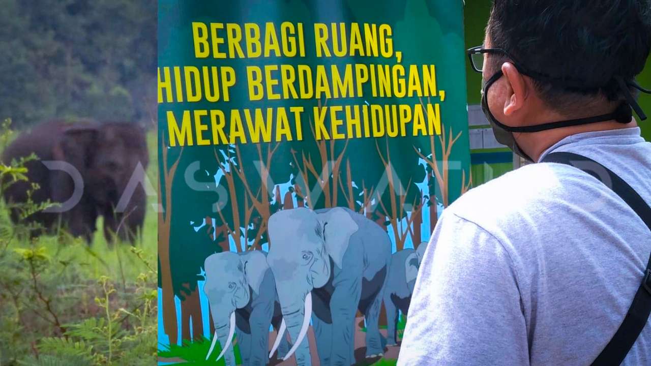 Konflik Manusia dan Satwa Liar di Lampung Tewaskan Nenek Suarni