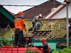 Cuaca Ekstrem Melanda Bandarlampung: Pohon Tumbang, Atap Rumah Terbang