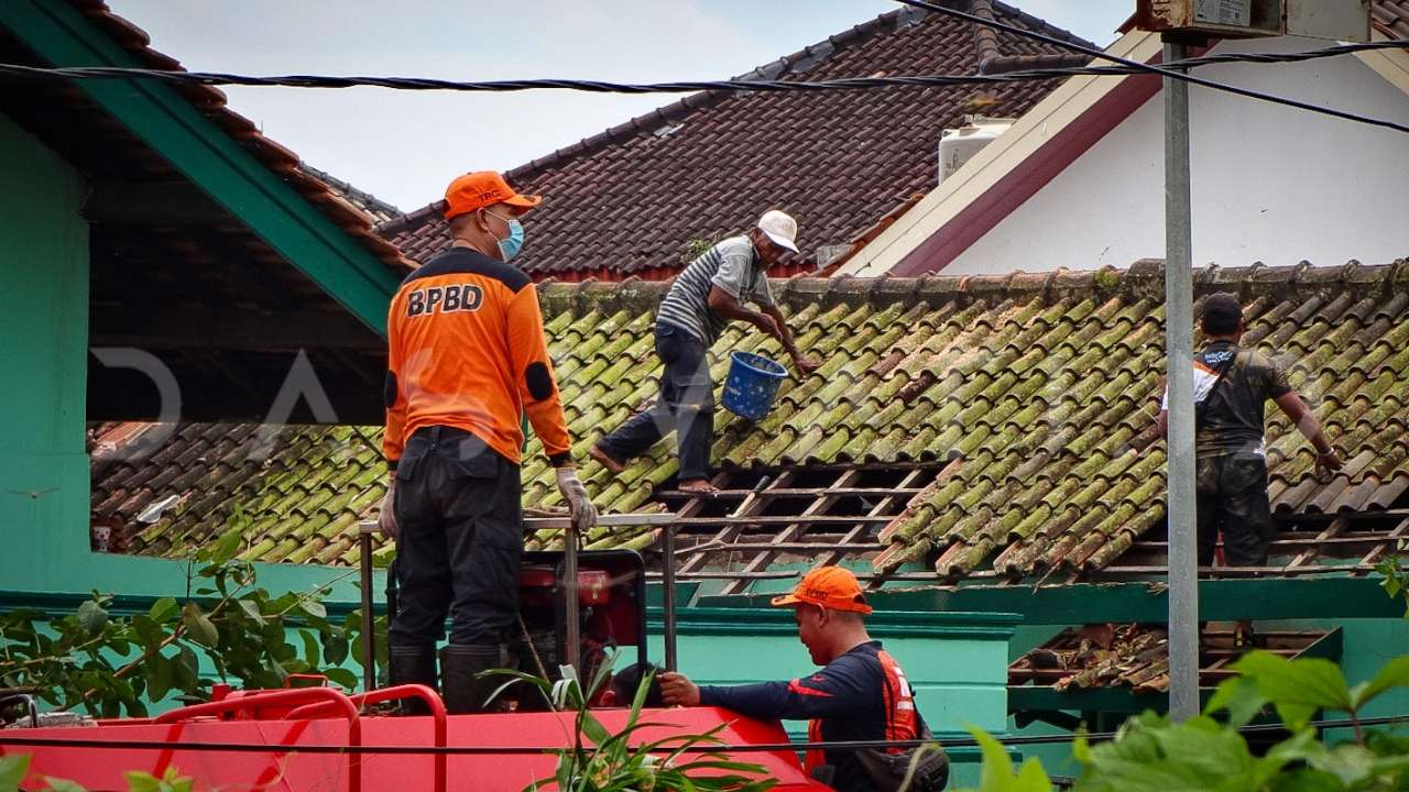 Cuaca Ekstrem Melanda Bandarlampung: Pohon Tumbang, Atap Rumah Terbang