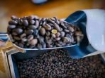 Aroma Lokal, Ambisi Urban: Menyelaraskan Kopi Lampung dan Gaya Hidup Kota