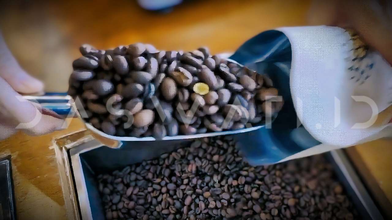 Aroma Lokal, Ambisi Urban: Menyelaraskan Kopi Lampung dan Gaya Hidup Kota