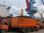Pelabuhan Panjang: Gerbang Terlarang Batu Bara?