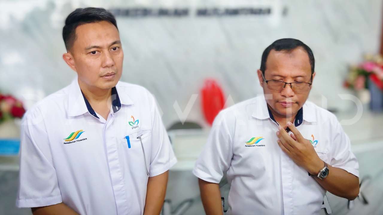 Sengkarut Kontrak di Kebun Nusantara