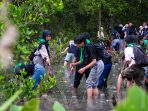Menakar Untung dari Blue Carbon Pesisir Lampung