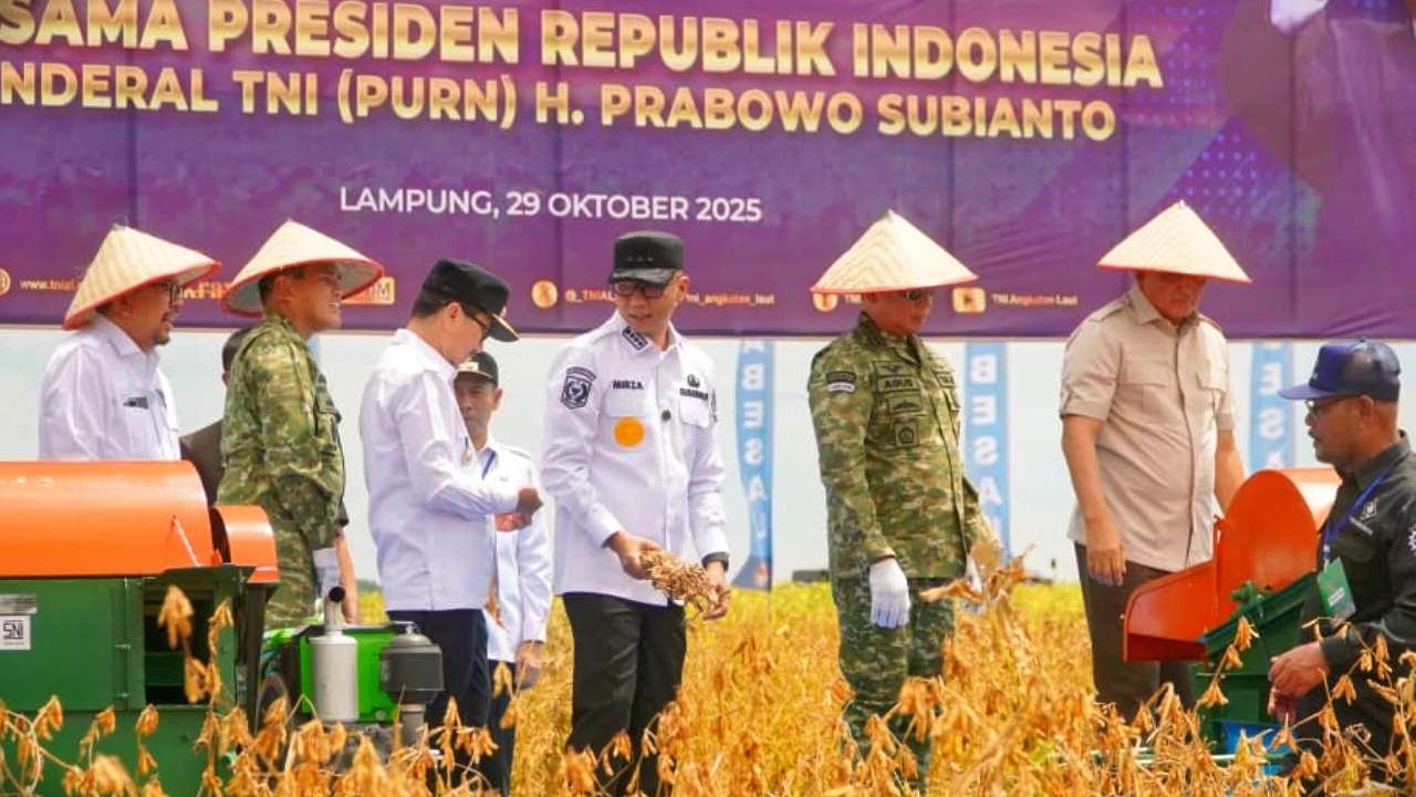 Musim Panen Para Pilar: Ketika Lampung Menjadi Jantung Pangan Nusantara Musim Panen Para Pilar: Ketika Lampung Menjadi Jantung Pangan Nusantara