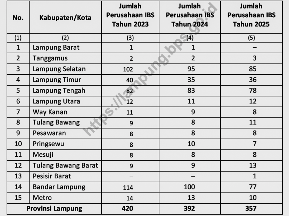 Data BPS 2025: Jumlah Perusahaan Industri Besar dan Sedang di Lampung Turun Signifikan
