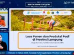 Dinamika Tiga Babak Padi Lampung: Antara Lonjakan Awal dan Penurunan Tipis