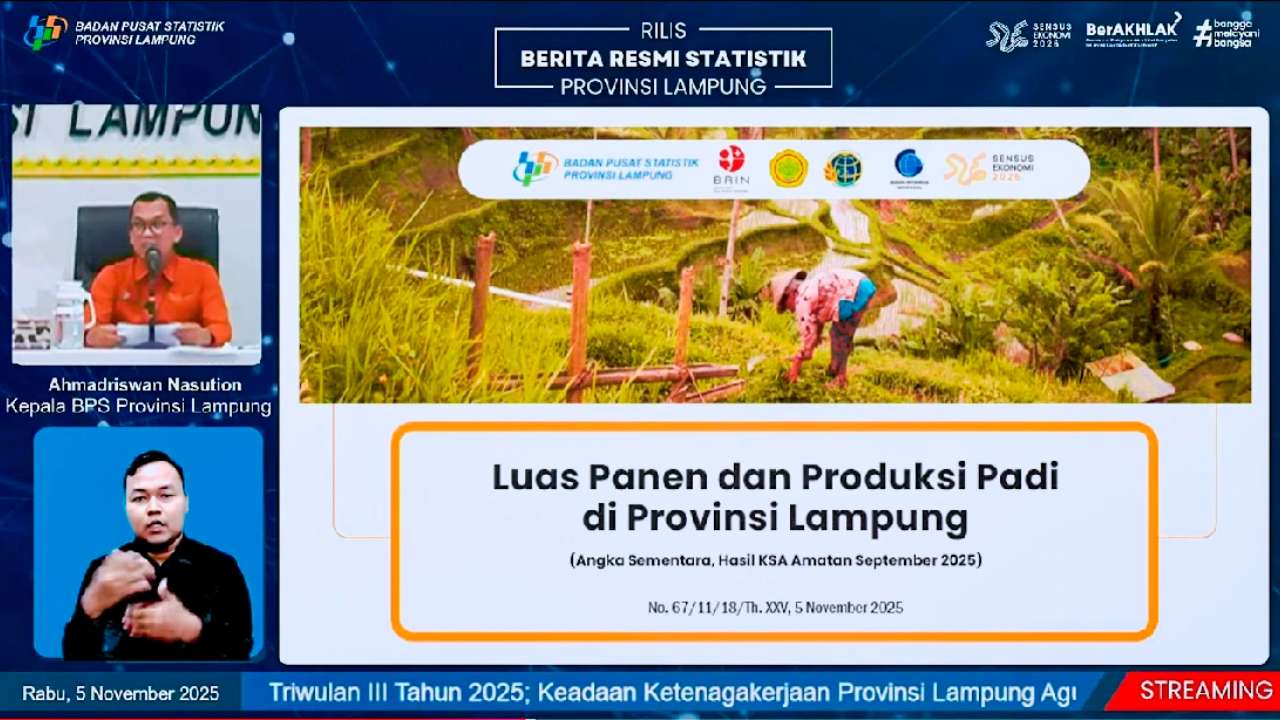 Dinamika Tiga Babak Padi Lampung: Antara Lonjakan Awal dan Penurunan Tipis