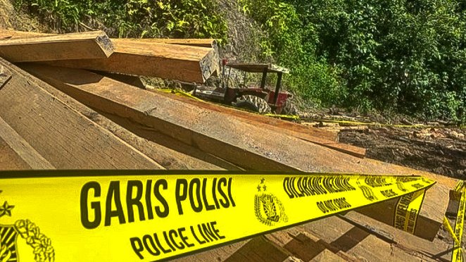 Pembalakan Liar di Pesisir Barat Dihentikan