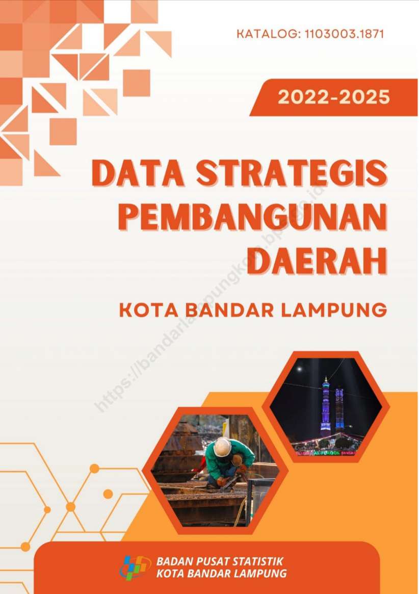 Hampir Sepertiga Anak Usia SMA di Bandar Lampung Tak Bersekolah