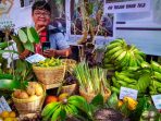 Smallholders vs EUDR: The Future of Lampung’s Green Economy