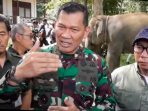 TNI dan Pagar Permanen: Solusi Akhiri Konflik Gajah di Way Kambas