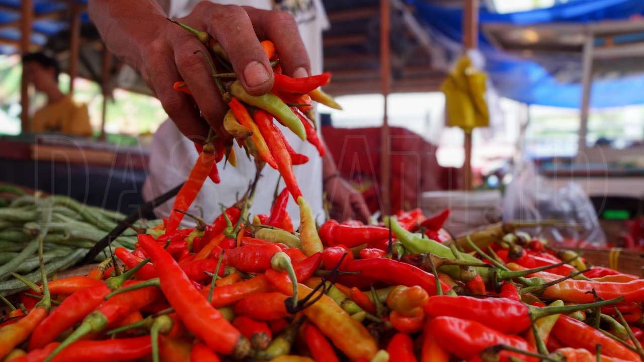 Sisi Lain Inflasi Rendah: Waspada Penurunan Harga di Tingkat Petani