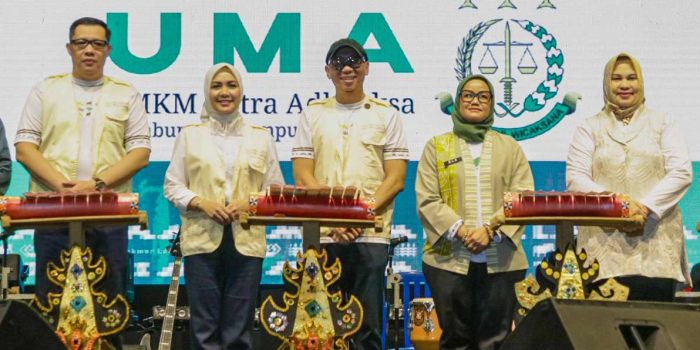 HUT Ke-27 Lampung Timur: Gubernur Dorong UMKM Naik Kelas