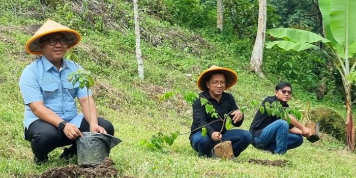 Satu Kader Satu Pohon: Aksi ILS Pesawaran Sayangi Bumi