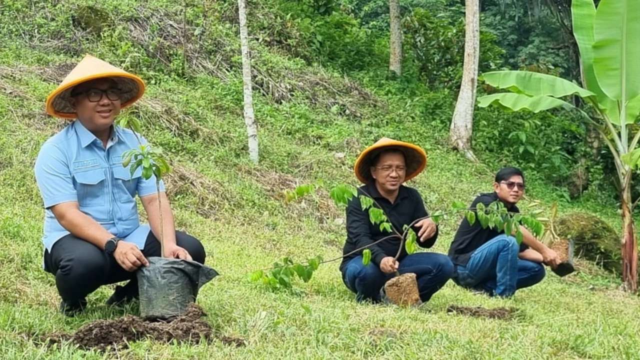 Satu Kader Satu Pohon: Aksi ILS Pesawaran Sayangi Bumi